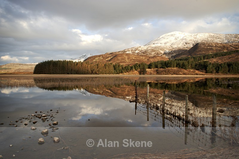 DSC03973 - Skye