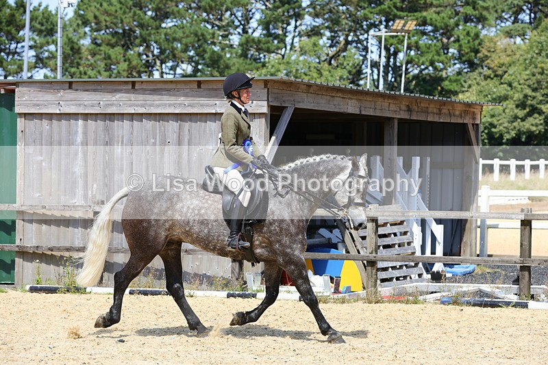 1X9A8859 - Class 19: Riding Club Horse