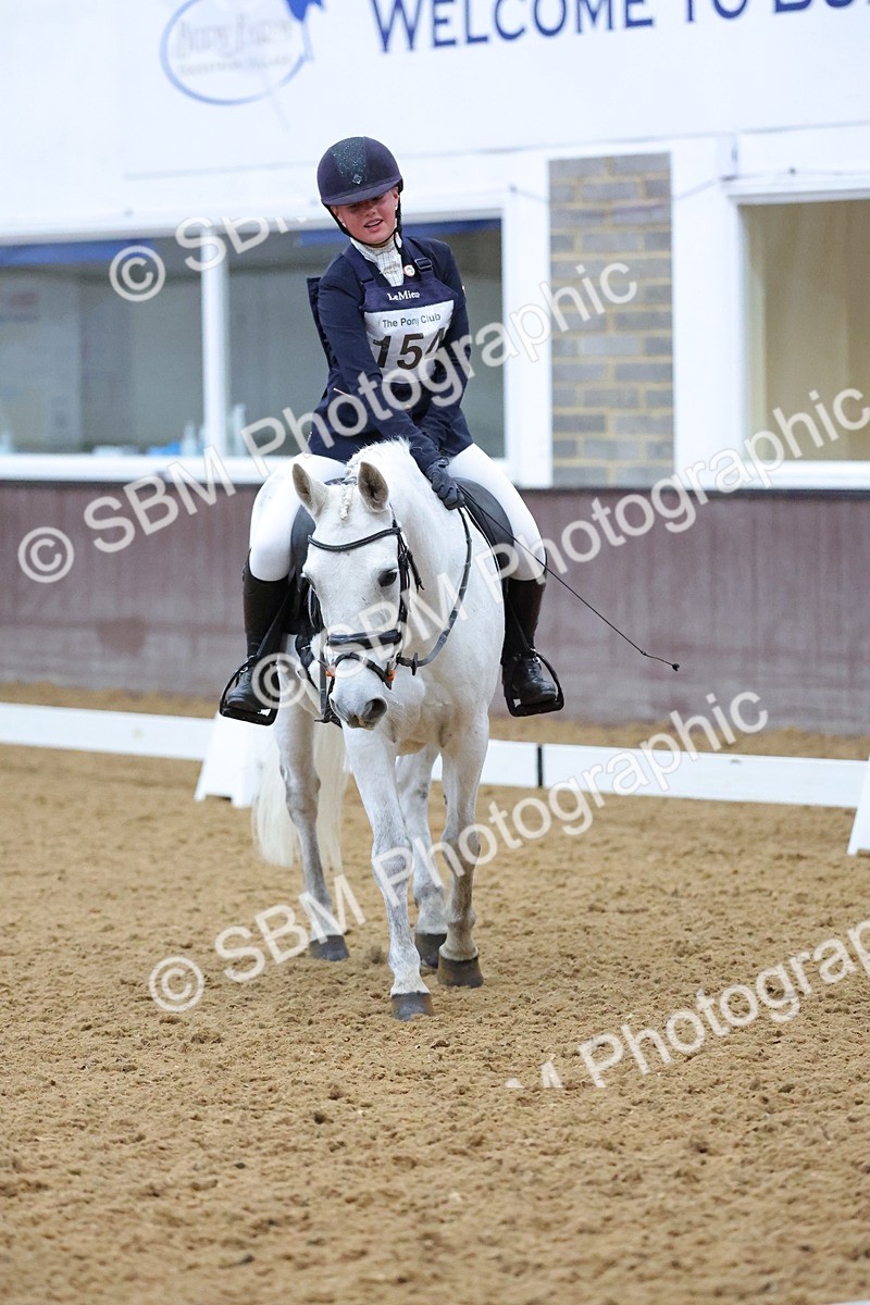 SBM_004184 - Intermediate