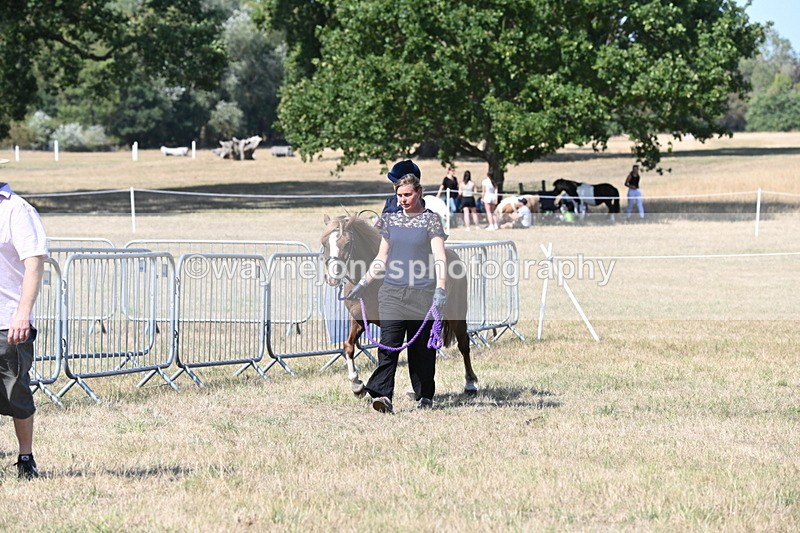 WJ6_9477 - Class 40 Cheekiest Pony/Horse