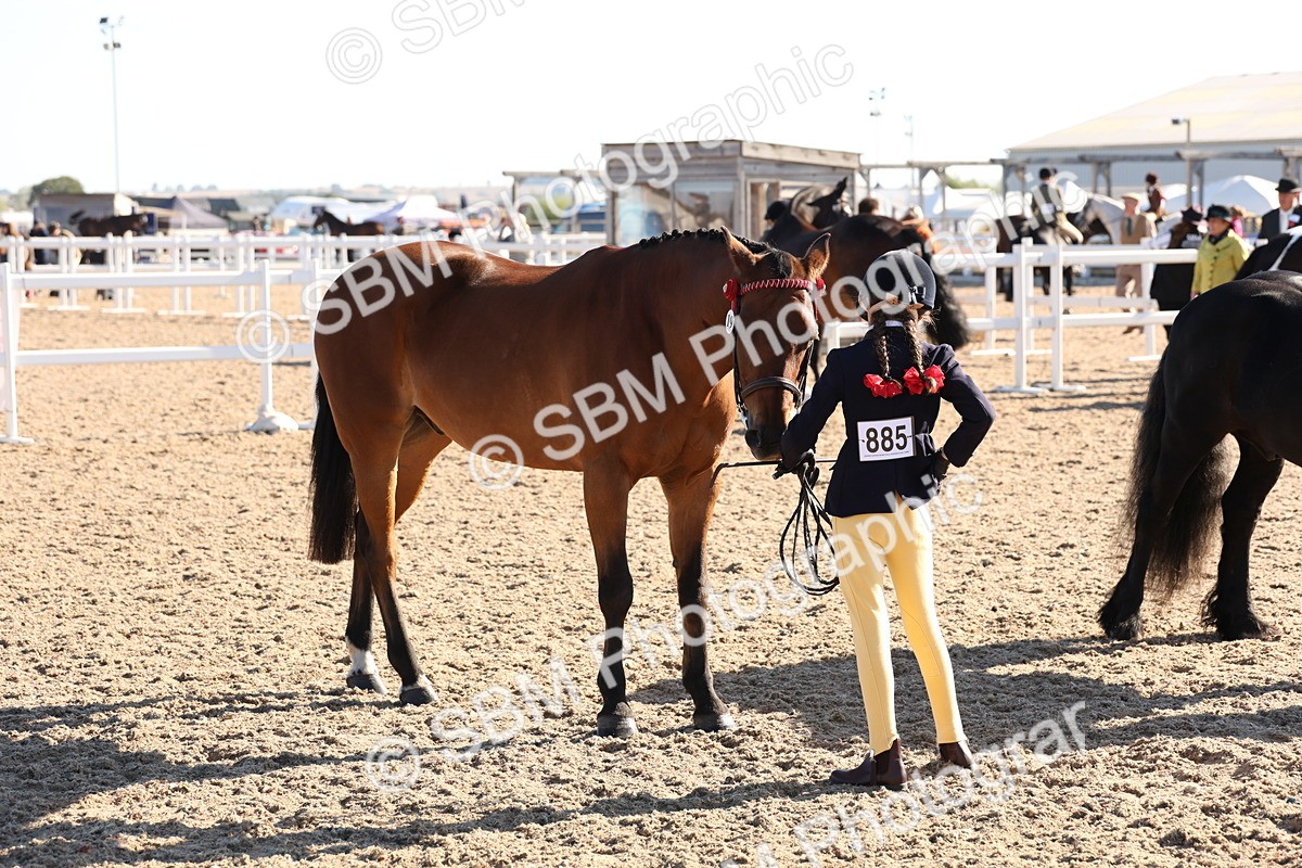 SBM_11731 - Class 204 - Young Handler 11 to 16 years