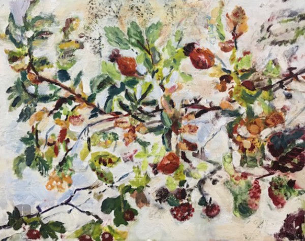 Hips and Haws 1 - Summer Light