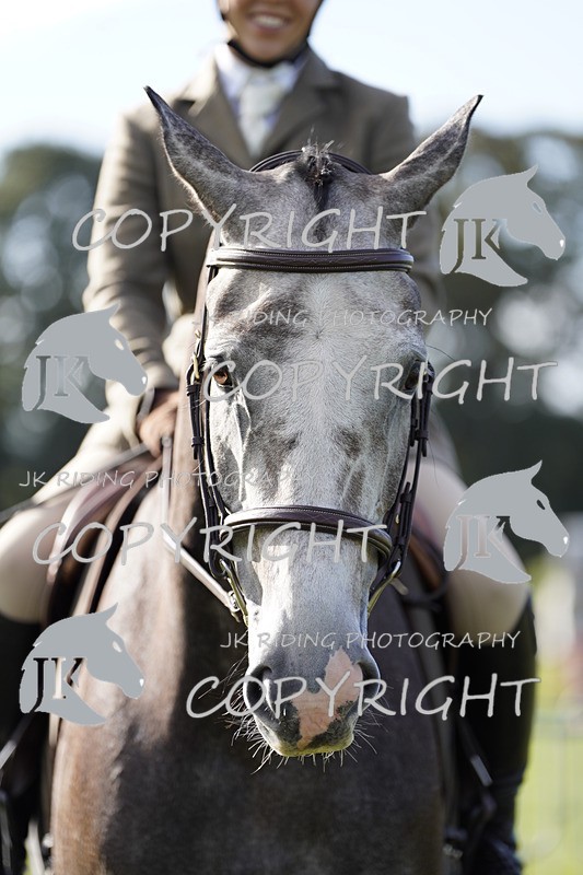 _DSC9566 - Class 8 & 17 Ridden Hunter & Ridden Hunter Pony