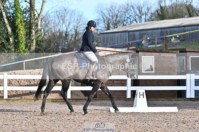 250125-103041-00194 - Dressage - CT Class 4 BE95 (80cm)