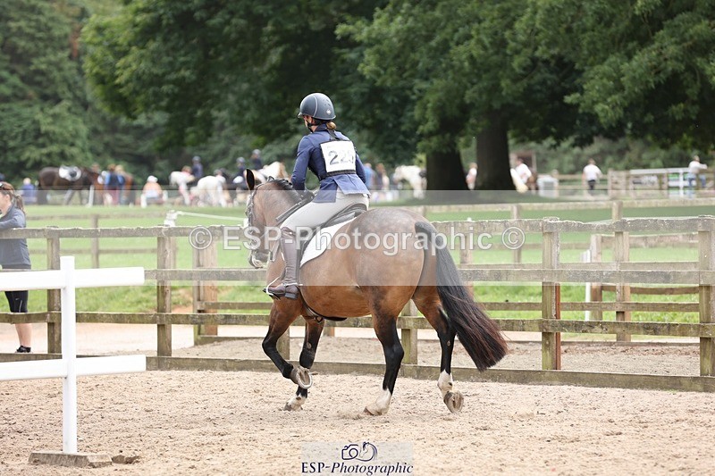 240803-133944-05663 - 225-Molly_Swain-SOCKS