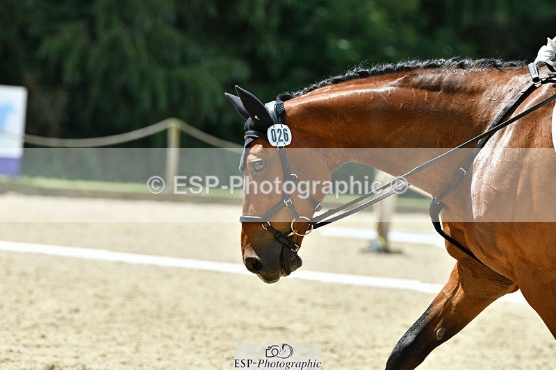 230623-124154-00681 - Cls 3 Novice 23 12.10 to End