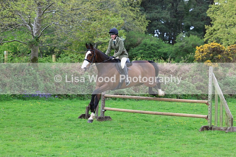 3E7A2487 - Classes 30 and 31: 80cm Working Hunter