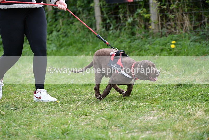 WJ5_0057 - Class 5 Best Veteran / 7 years & over