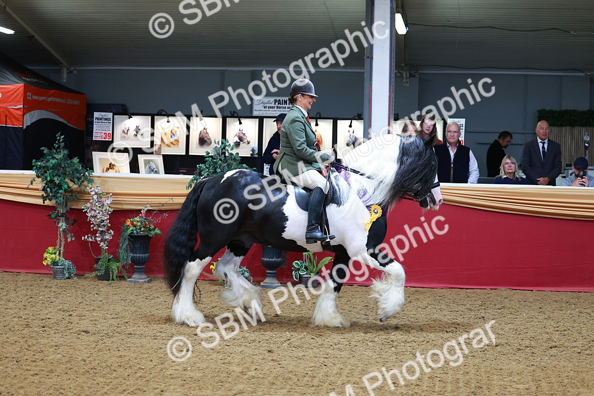 SBM_09882 - Class 102 - HOYS Veteran Qualifier - Ridden Veteran