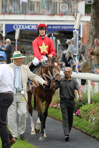 yr19082022r4-93 - Race 4 3.35pm Coolmore Wootton Bassett Nunthorpe Stakes (British Champion Series Race)