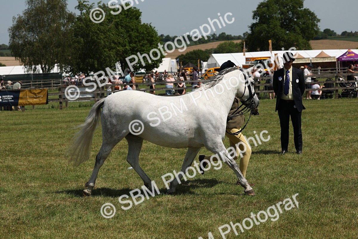 SBM_06772 - Class 26-30 - Mountain and Moorland Ridden