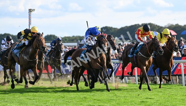 220825-269 Fifth Column - Race 7 5.20pm Sky Bet Mile Handicap