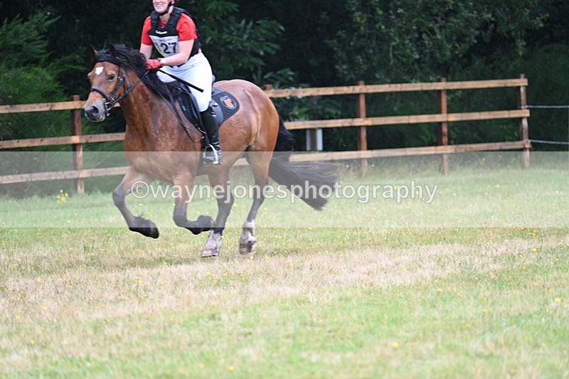 WJ7_5783 - 60cm Time 10:40 to 11:07