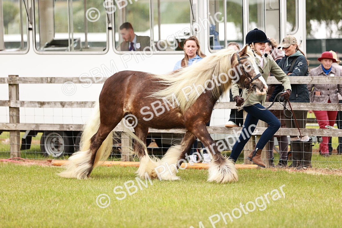 SBM_06028 - Class 39-41 TGCA In Hand and Ridden