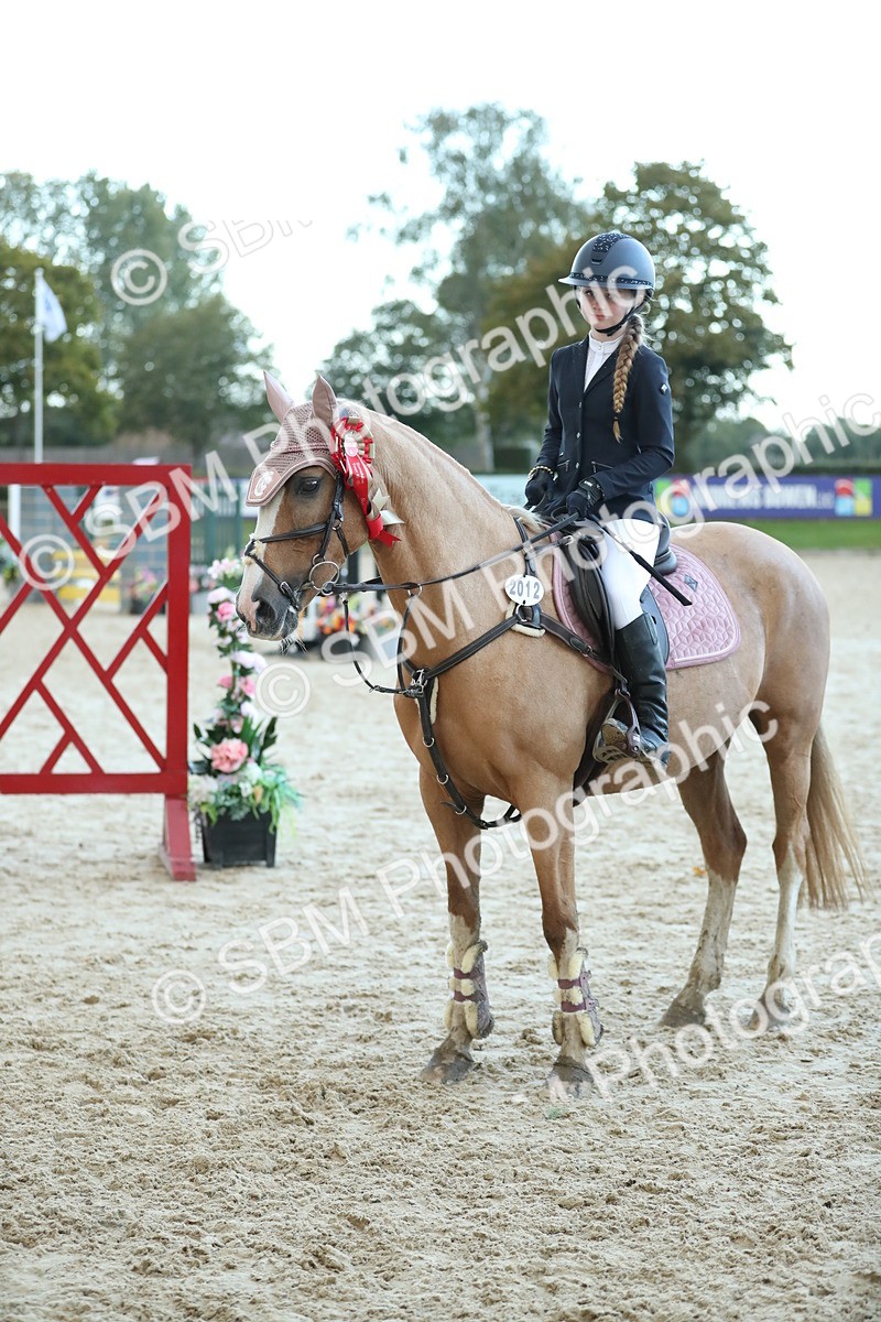 SBM_53788 - Supreme Championship 65cm 70cm