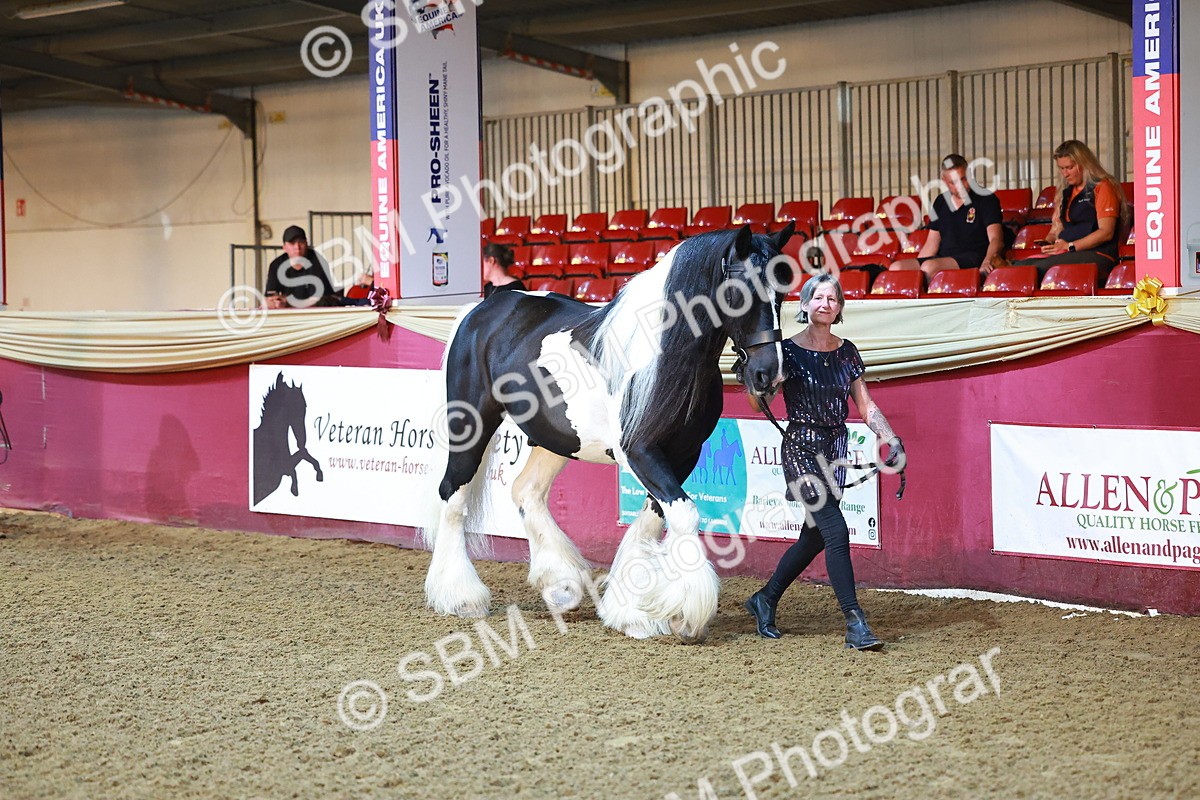 SBM_14671 - Class C - Novelty champ