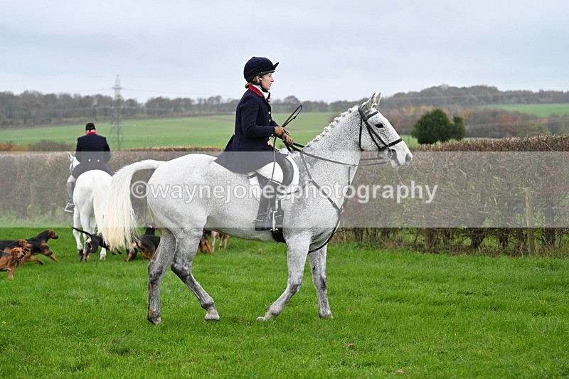 WJ7_8762 - Meet Staff & Hounds