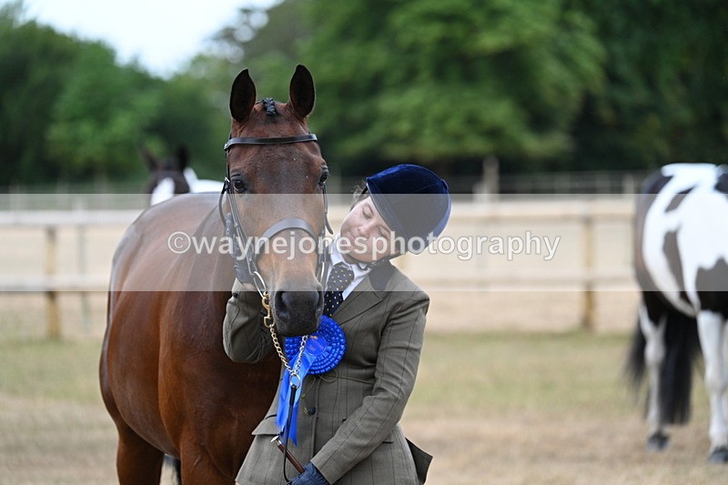 WJ7_9269 - Class 4a Prettiest Mare 14.2hh and over