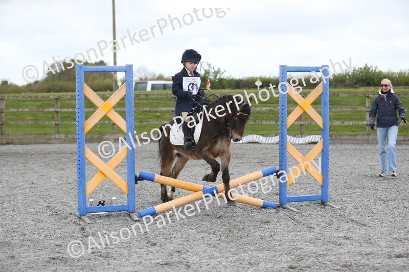 20260412-0173 - Show Jumping