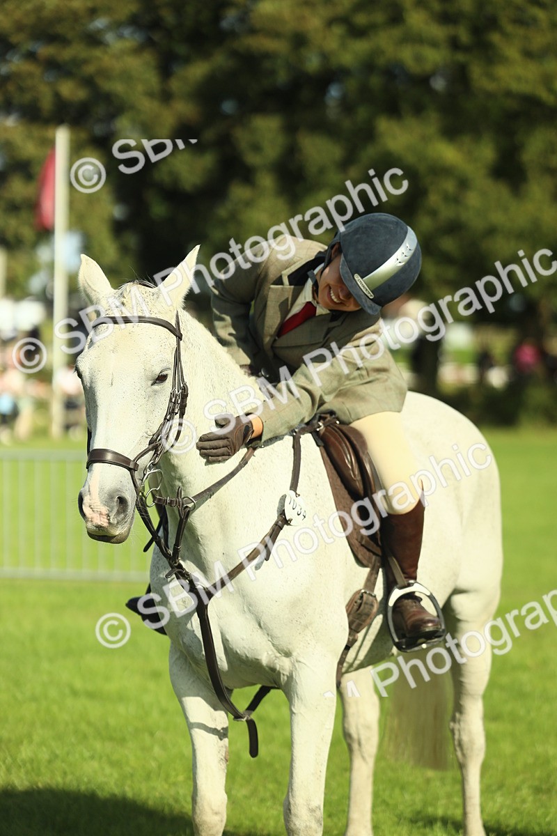 SBM_49863 - S32 - Novice & Newcomers Working Hunter
