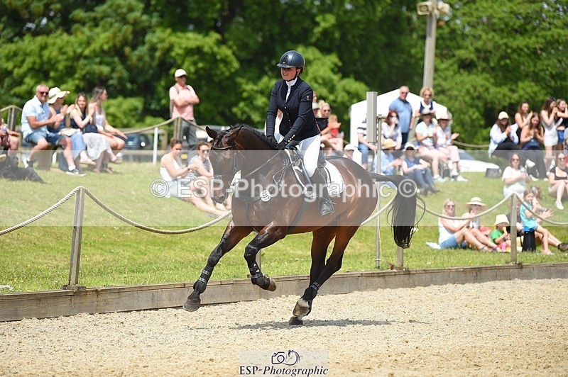 230528-125218-15878 - 357-VIVENDI_HERO-Saffron_Cresswell-SUNTrotUp+SJ