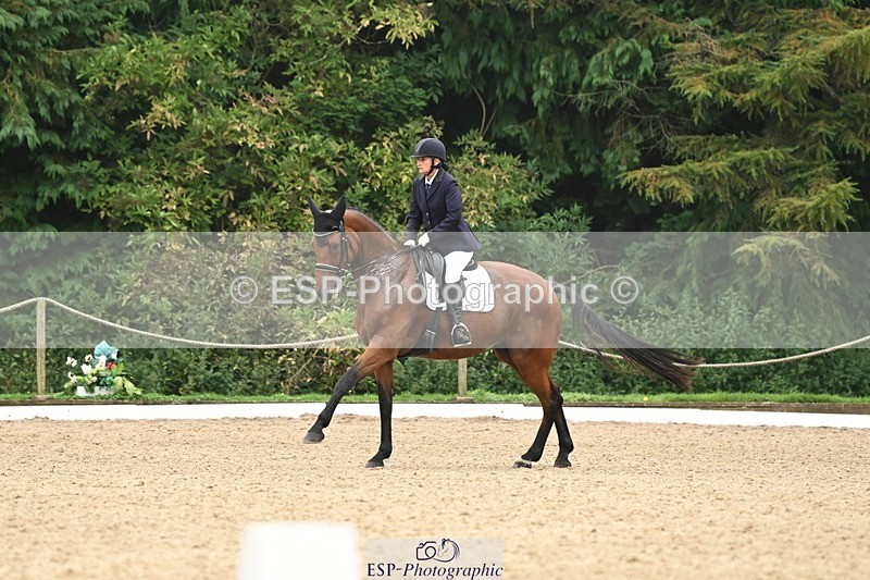 240811-120105-05668 - 241-Kathryn.Little-Quietly.Does.It