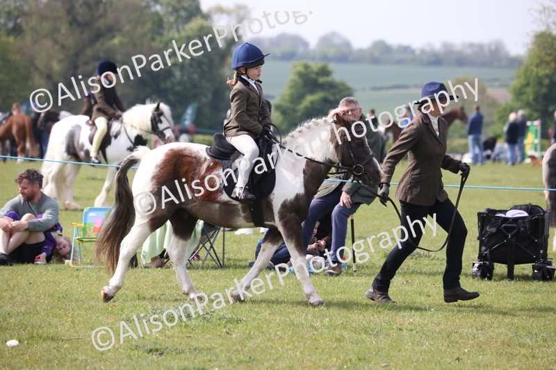 20260426-2590 - Class 31 - Leading Rein