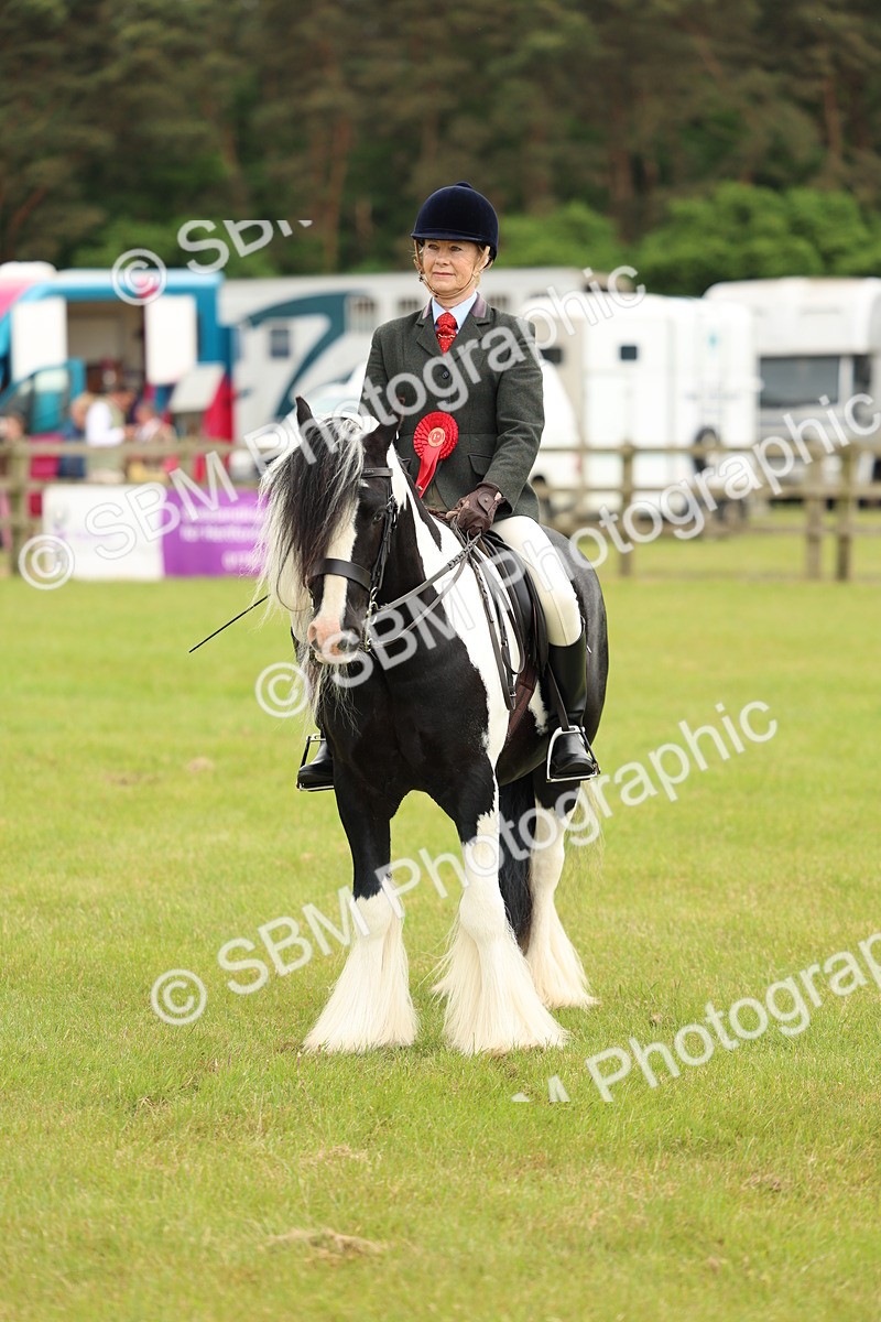 SBM_06284 - Class 39-41 TGCA In Hand and Ridden