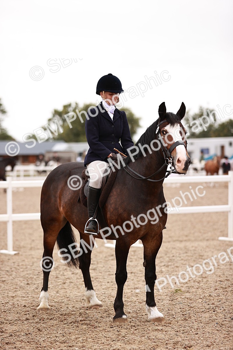 SBM_19041 - Class 422 - Ridden M&M