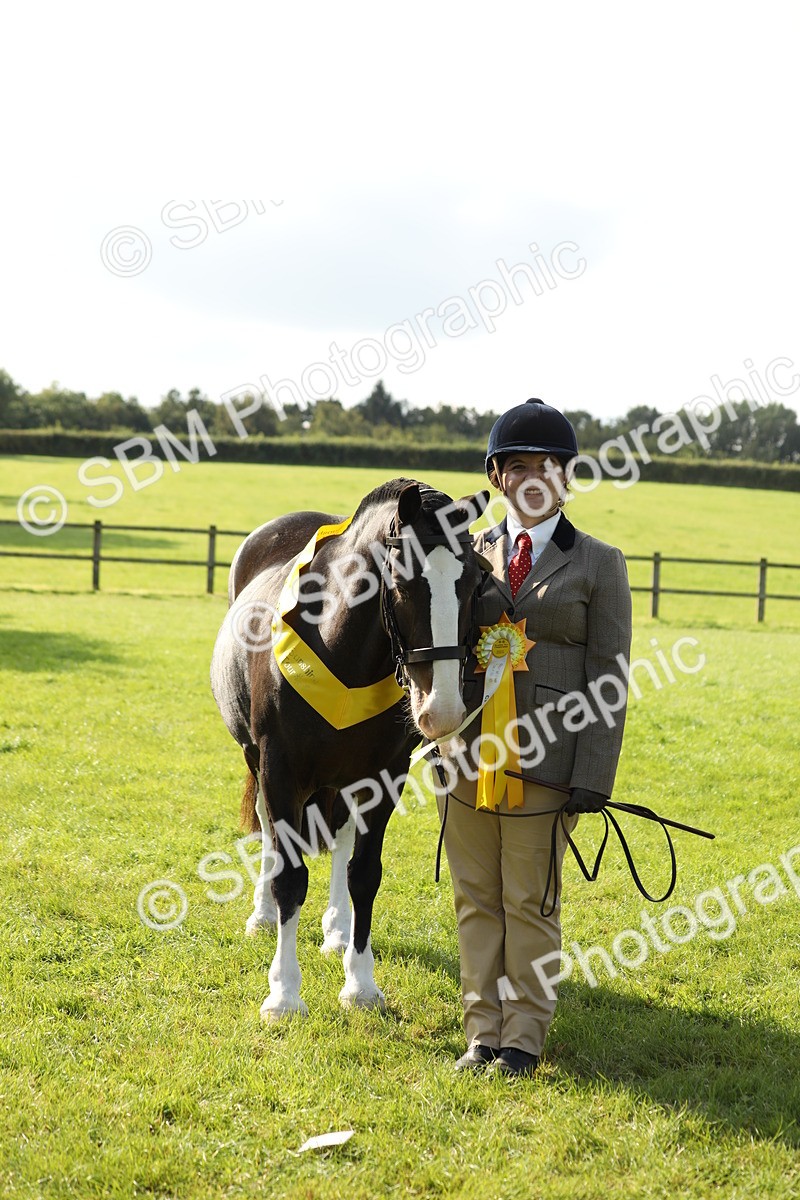 SBM_62356 - S45 - Mini Show Cob In Hand