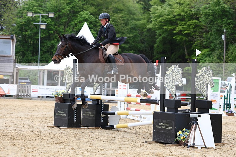 3E7A6153 - Class 4: Senior British Novice/90cm open