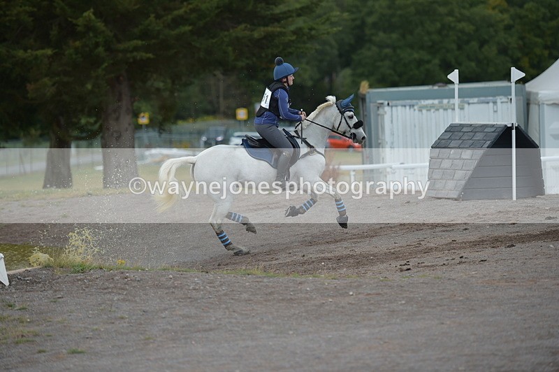 NGP_5247 - XC Time 13:36 to 13:47