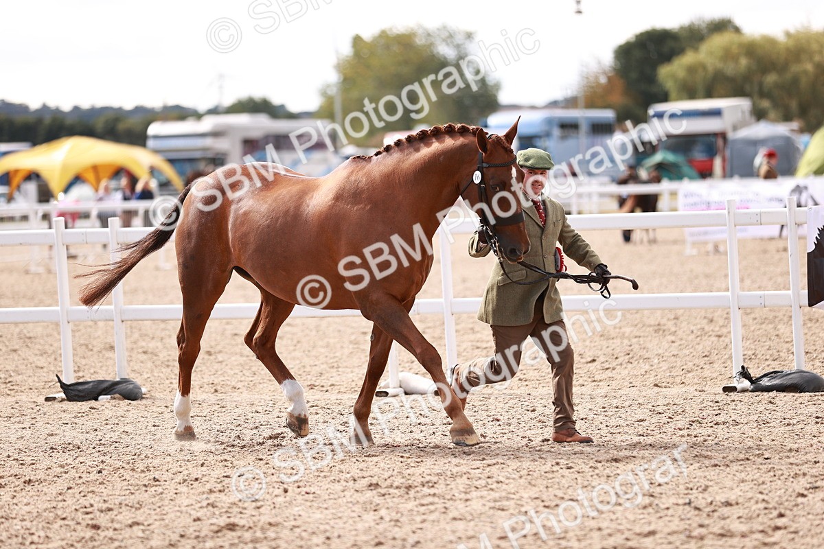 SBM_13373 - class 406 - IH Hunter