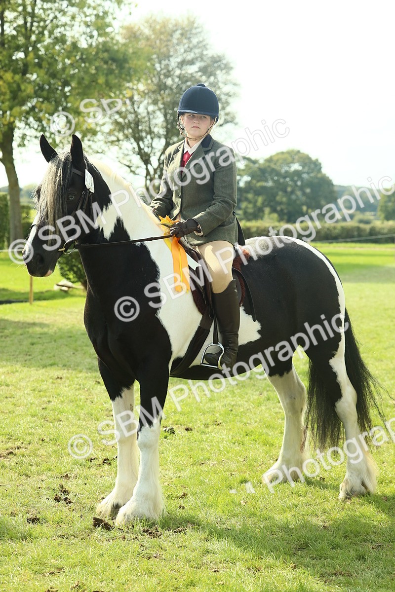 SBM_68982 - S58 - Mini Show Cob Ridden