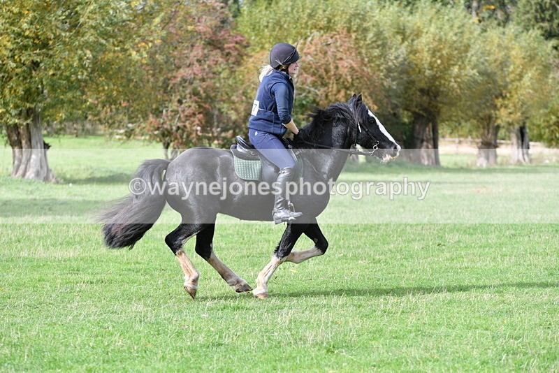 WJ5_0050 - Time 13:25 to 13:58