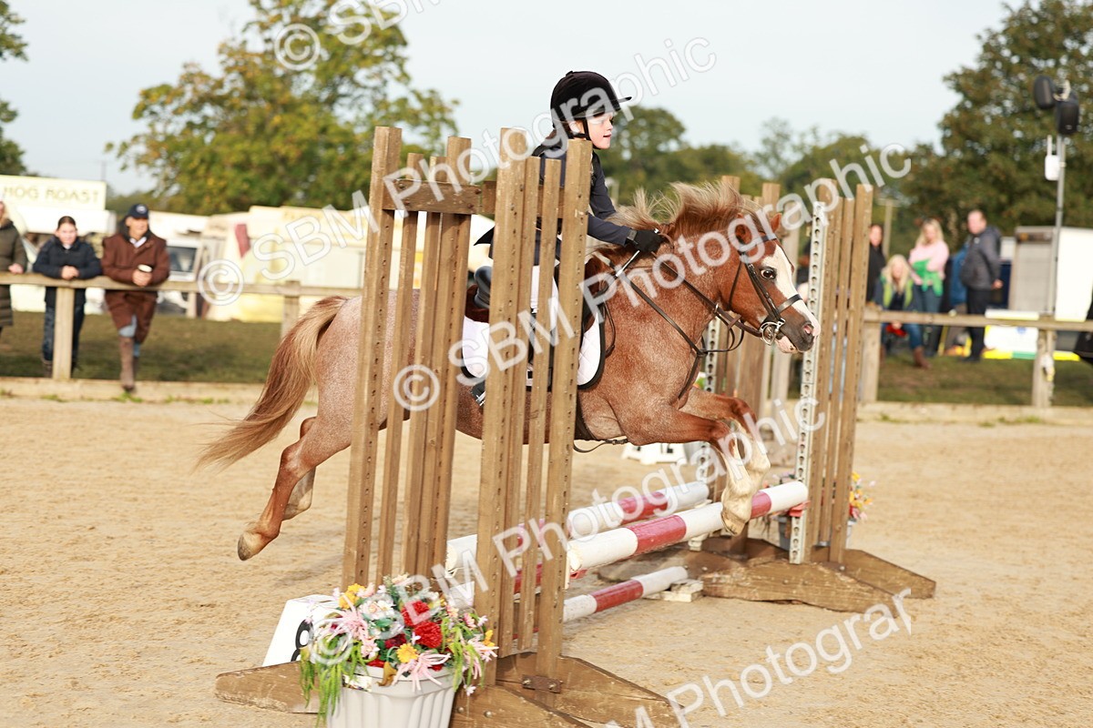 SBM_55545 - J11 - Junior Pony 50cm Championship
