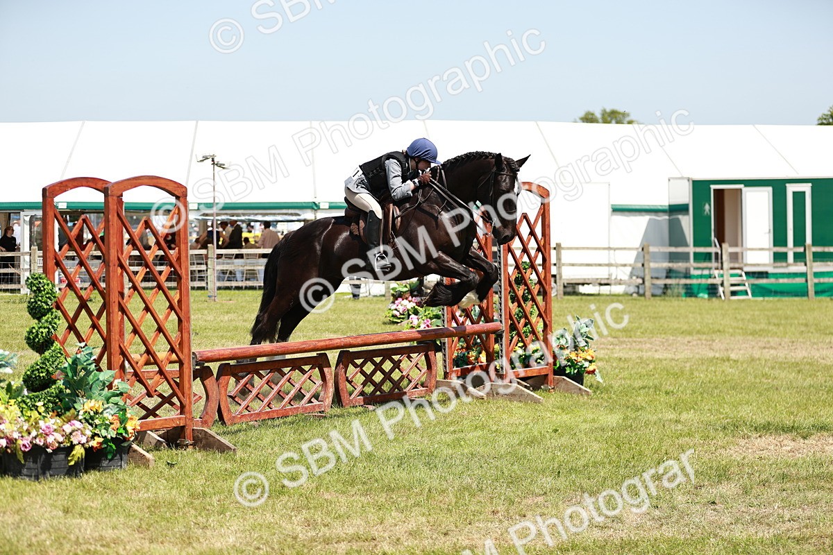 SBM_16396 - Class 110-111 - Training Stakes (70cms 80cms)