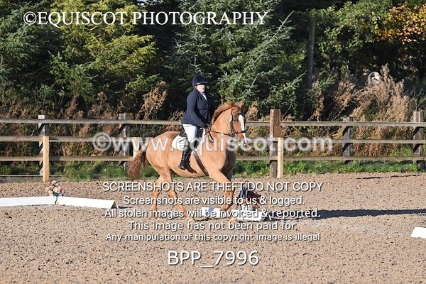 BPP_7996 - LONG ARENA