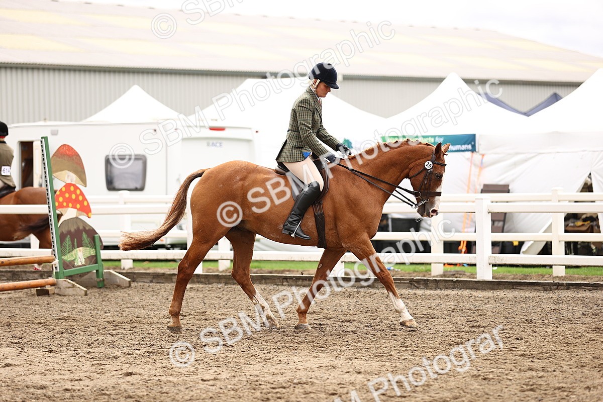 SBM_00543 - Class 53 - Ridden Competition Horse Pony