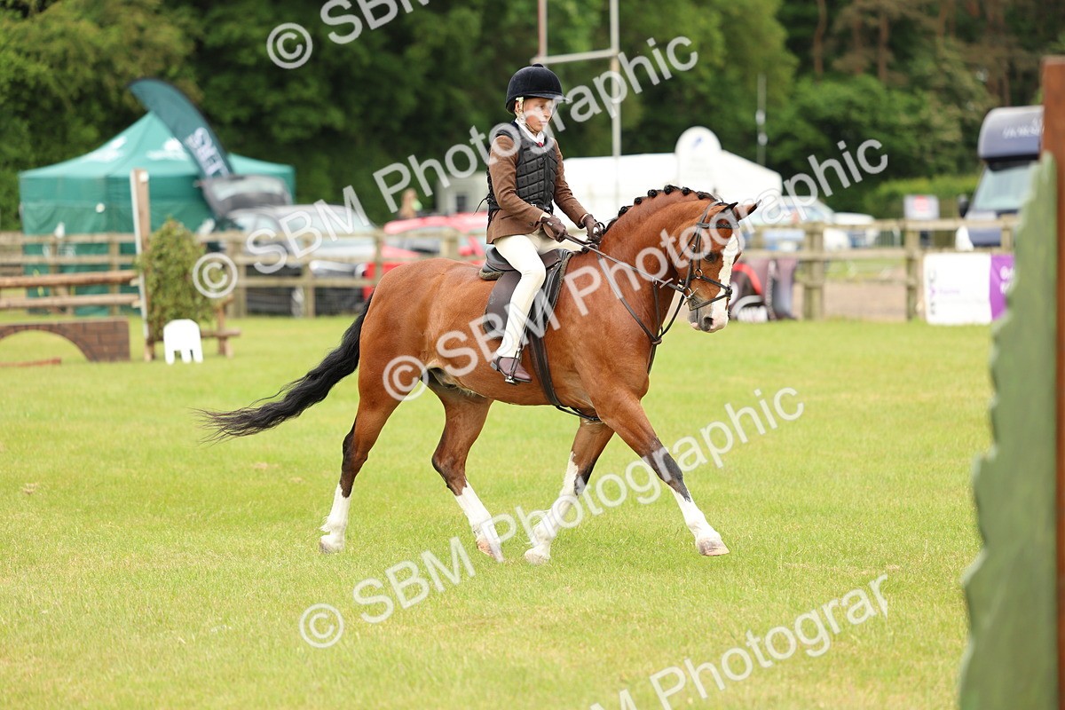 SBM_10221 - Class 44-45 - LIHS BSPS Open Nursery and Cradle Stakes