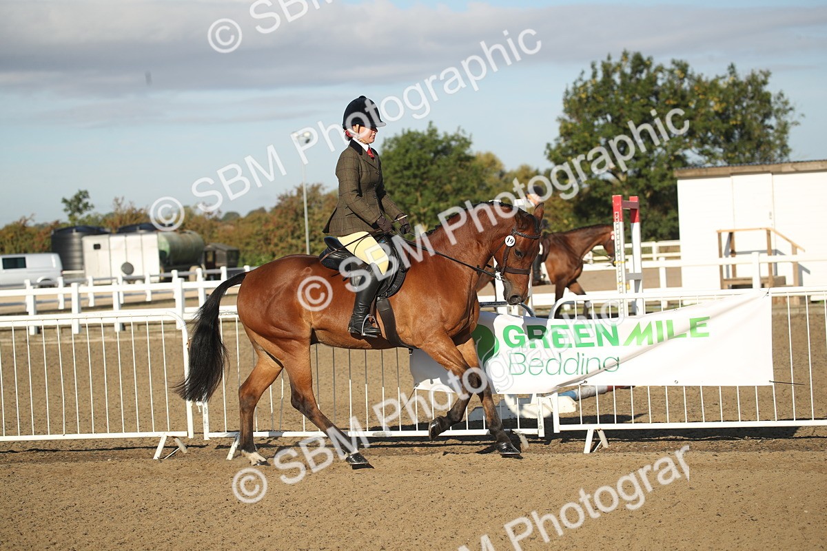 SBM_11526 - Class 502 - Riding Club Horse
