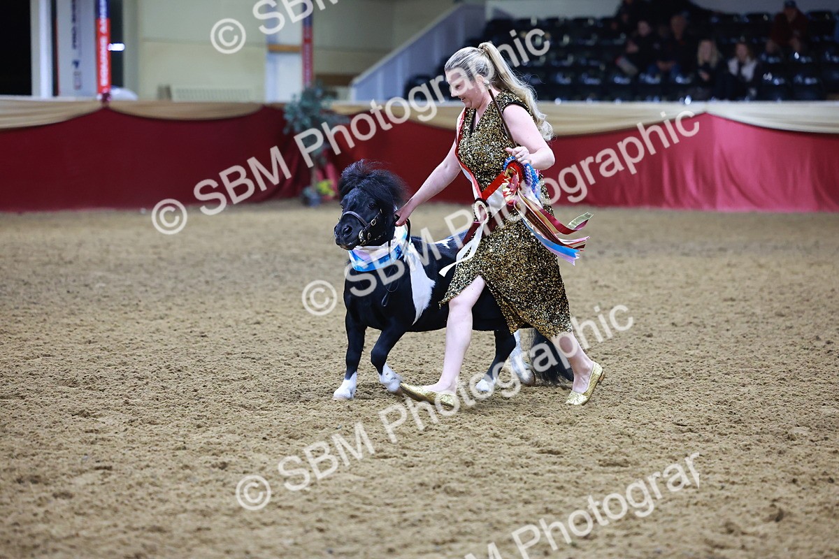SBM_15338 - Class P - M&M Champ