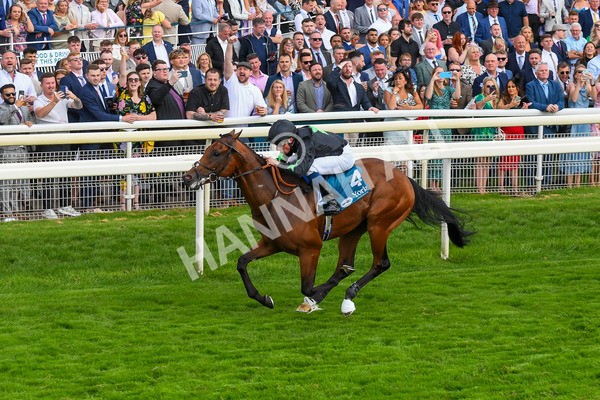 260823-Race 6-Inquisitively-0890 - Race 6 Julia Graves Roses Stakes at York