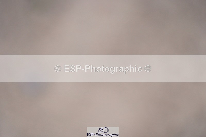 230924A-101140-04857 - 100 SJ Start to 11.00