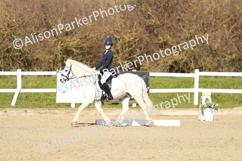 20260314-4510 - DR4 - Prelim 2