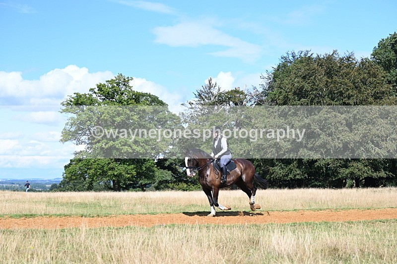 DSC_0168 - Time at Statue 15:58 to 16:05