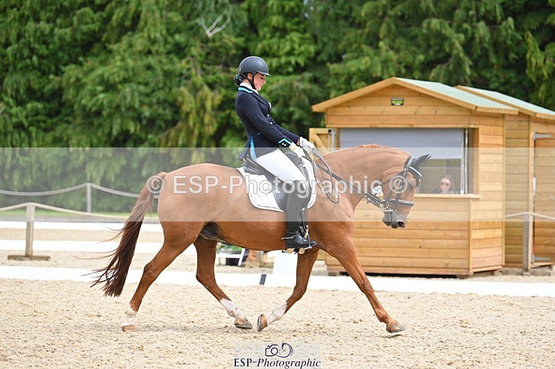 230813-133631-07607 - Cls 13 Medium Bronze 13.15 to End