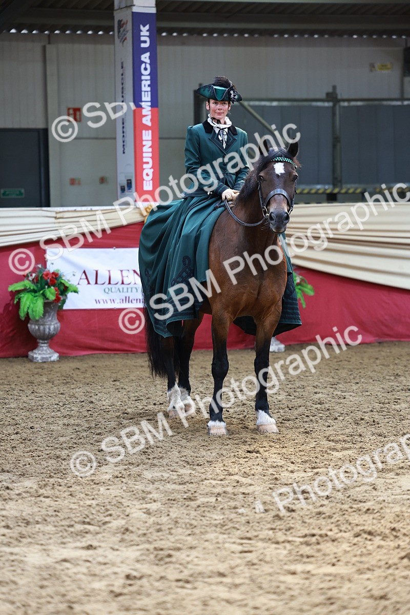 SBM_14833 - Class 107 - Ridden Costume - Astride Adult  (20+)