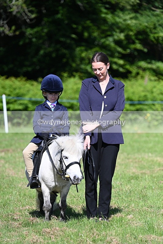 WJ7_0441 - Class 8 First Rally Pony