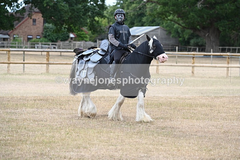 WJ6_8856 - Class 11 Fancy Dress